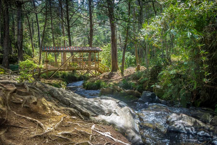 Medellín: Botanical Garden and Arvi Park City Tour - Starting near Antioquia University