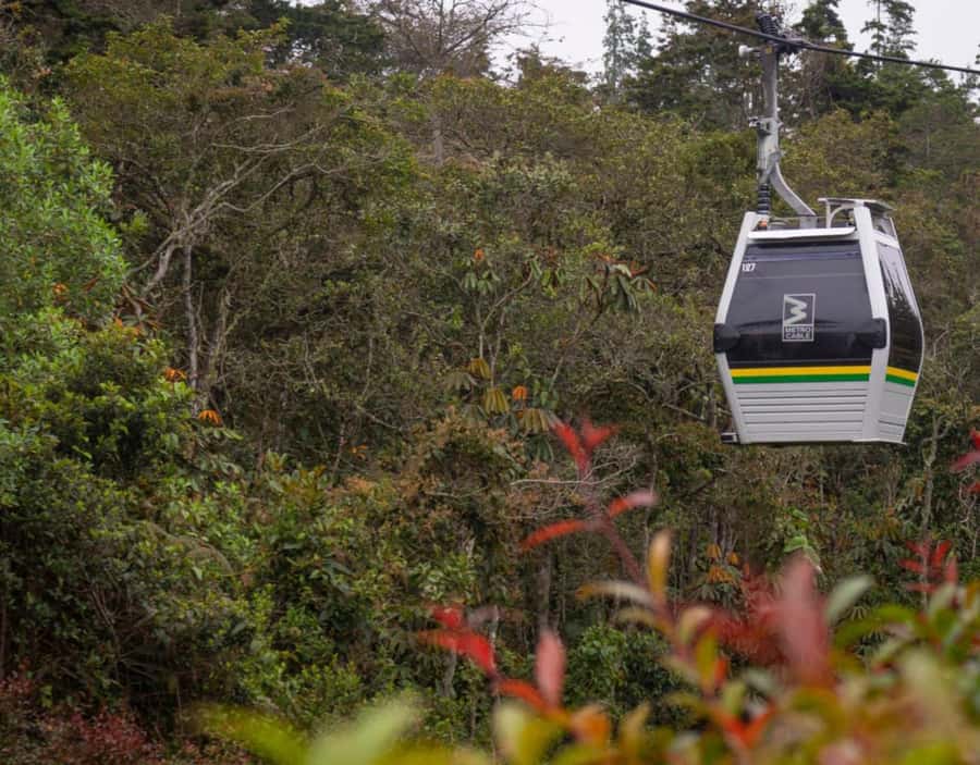 Medellín: Botanical Garden and Arvi Park City Tour - The Metrocable ride is more than a transfer