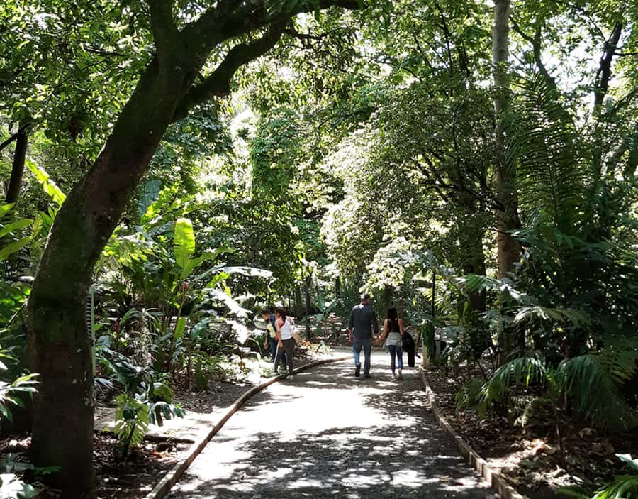 Medellín: Botanical Garden and Arvi Park City Tour - Arví Park and its forest trails