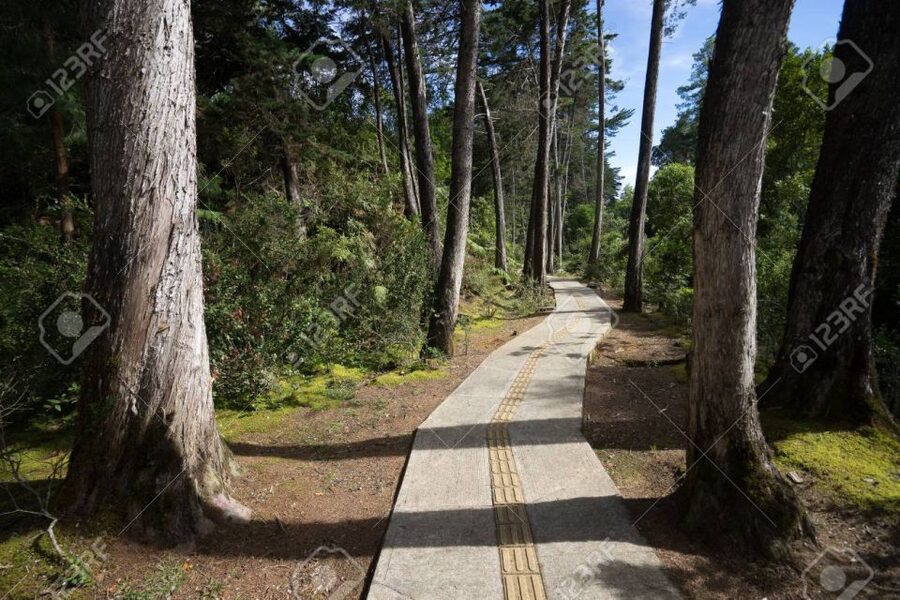 Medellín: Botanical Garden and Arvi Park City Tour - Guides, language, and the private format
