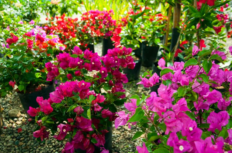 Medellín: Botanical Garden and Arvi Park City Tour - Weather, closures, and small practical choices