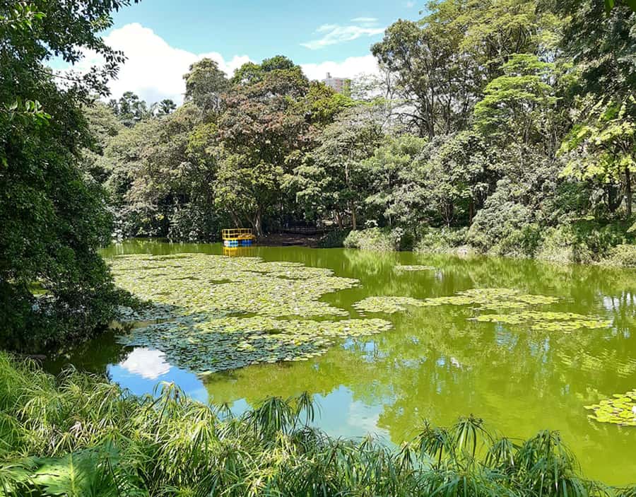Medellín: Botanical Garden and Arvi Park City Tour - Who should choose this Medellín outing?