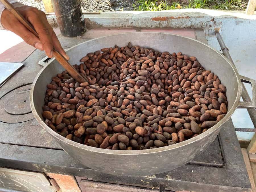 Medellín: Chocolate Tour & Exfoliation in beautiful river - Key points at a glance