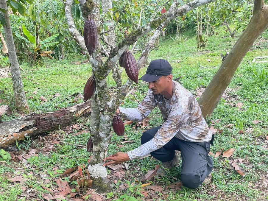 Medellín: Chocolate Tour & Exfoliation in beautiful river - Four hours at a family cacao farm
