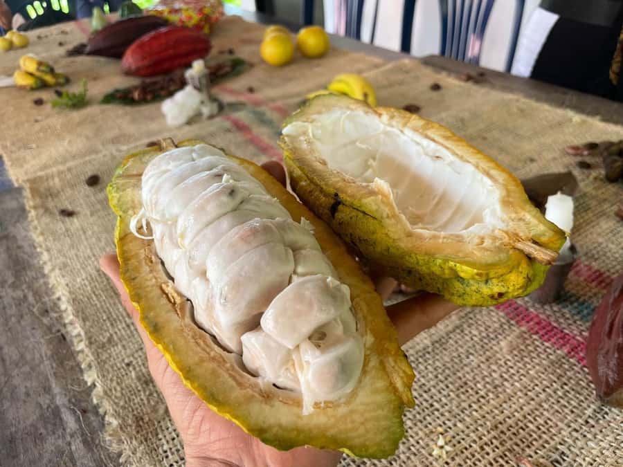 Medellín: Chocolate Tour & Exfoliation in beautiful river - Breakfast and lunch make this a full rural visit