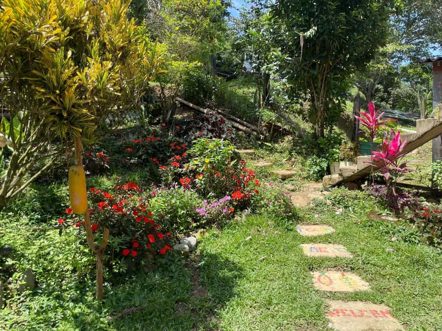 Medellín: Chocolate Tour & Exfoliation in beautiful river - The river and waterfall are the day’s playful finish