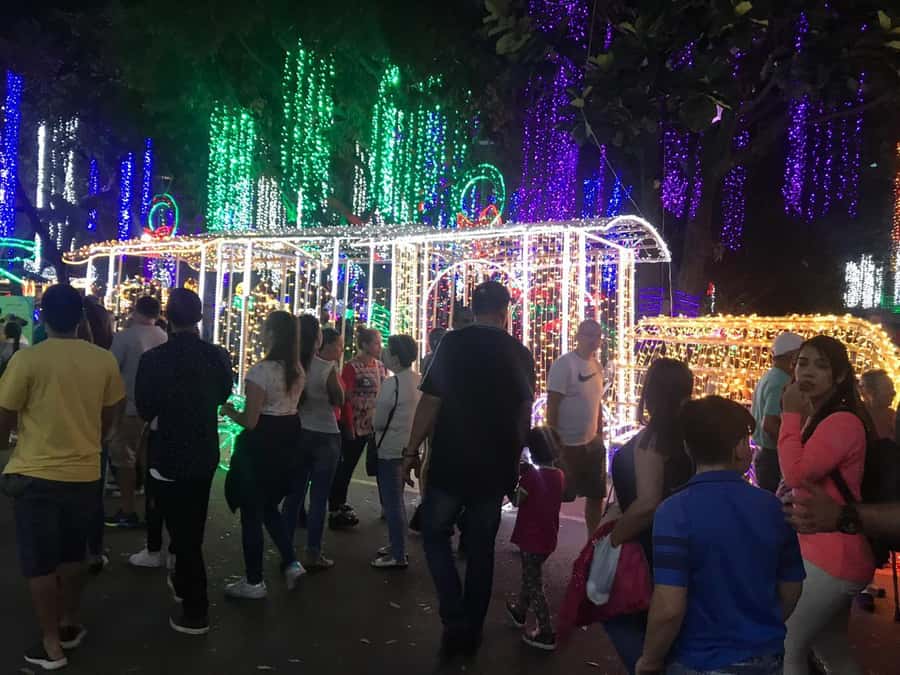 Medellin Christmas Lights Tour - Key points to know before you book
