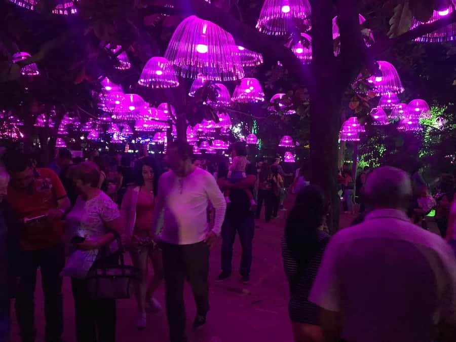 Medellin Christmas Lights Tour - First stop: Medellin River Parks