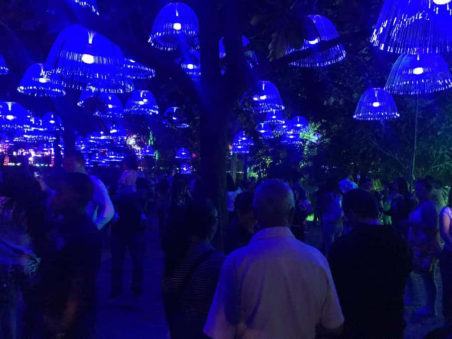 Medellin Christmas Lights Tour - What the private format really adds