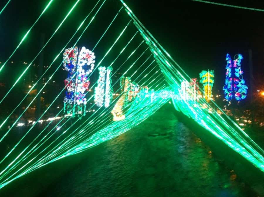 Medellin Christmas Lights Tour - Who will enjoy this Medellin Christmas tour