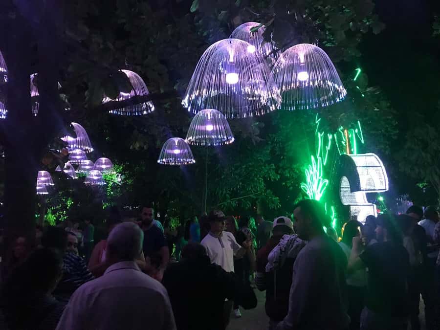 Medellin Christmas Lights Tour - Practical advice for a smoother evening