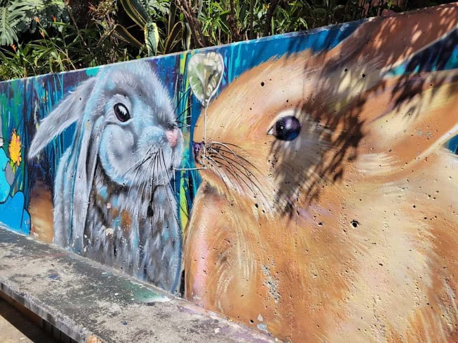 MEDELLIN: CITY TOUR MEDELLIN + GRAFFITOUR COMUNA 13 - Riding the Metro and Metrocable