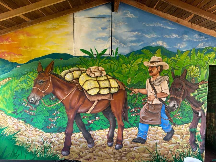 Medellin: Coffee and fruit tour - Tropical fruit, local food, and five tasting stations