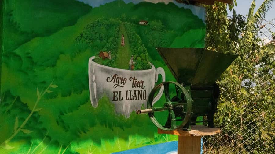 Medellin: Coffee and fruit tour - Mountain views and the famous hand photo
