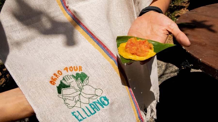Medellin: Coffee and fruit tour - Guides, language, and the personal feel