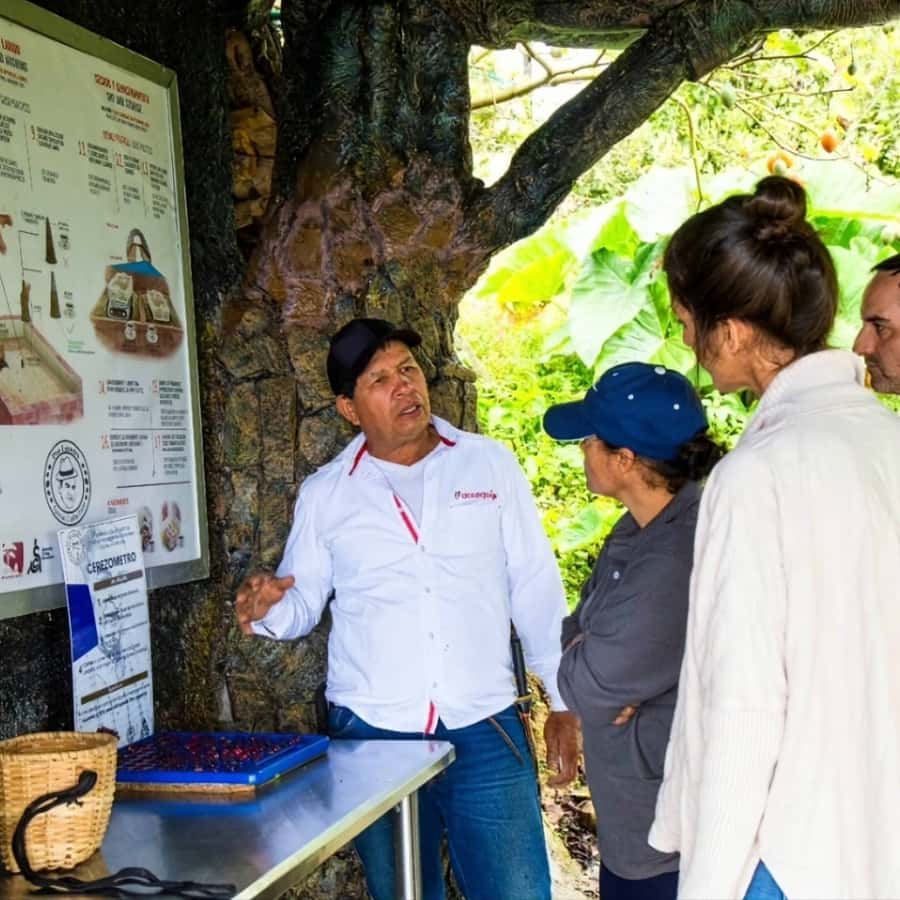 Medellin: Coffee Farm and Barista Workshop Experience - A coffee class with a farm at its center