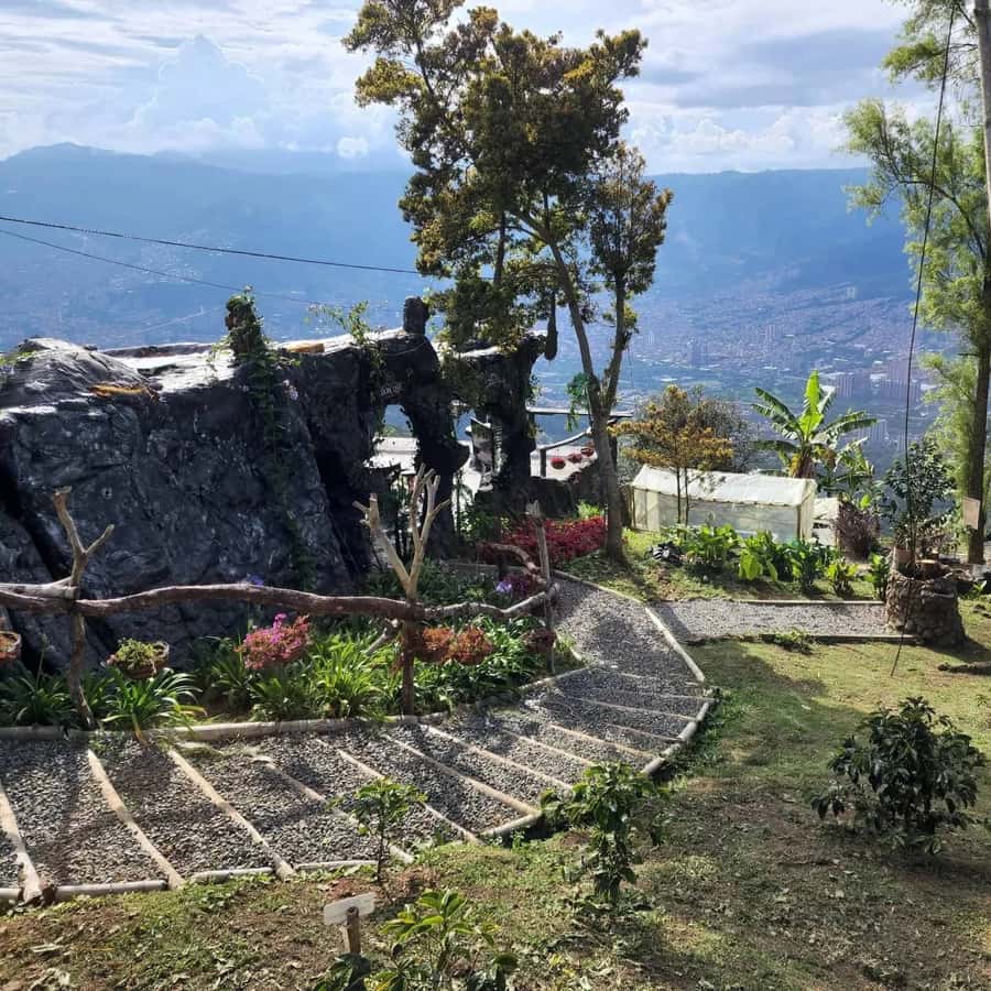 Medellin: Coffee Farm and Barista Workshop Experience - What the three-hour barista workshop teaches