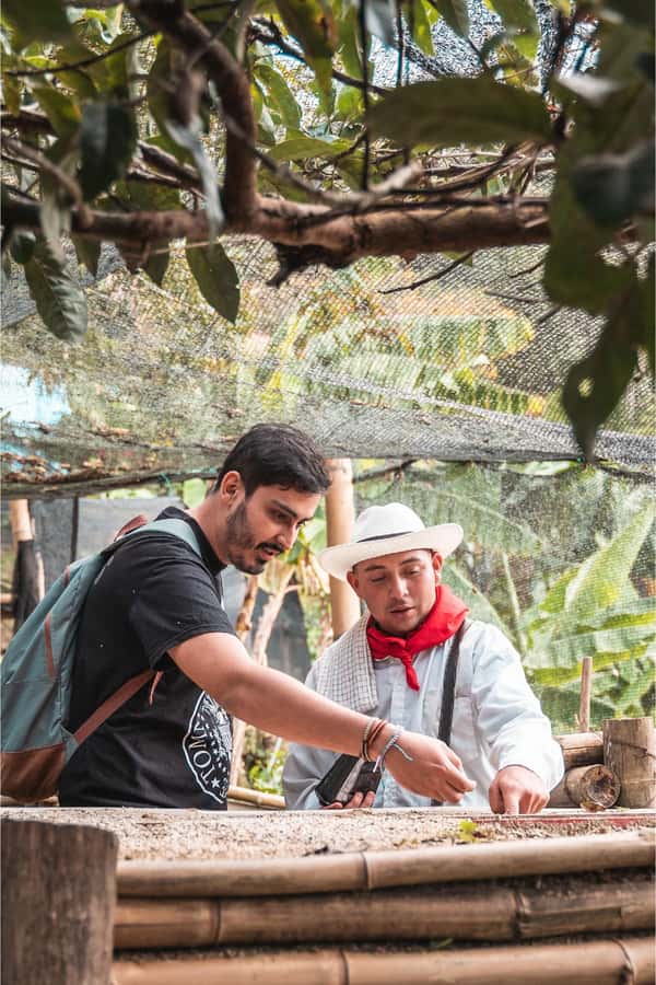 Medellin: Coffee Farm and Barista Workshop Experience - The value of the $66 price