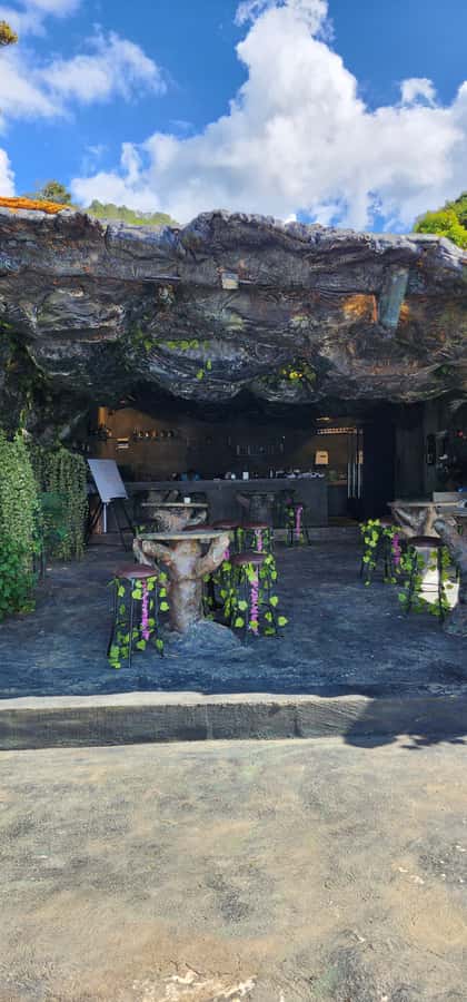 Medellin: Coffee Farm Tour & Spa with Overnight Glamping - The coffee spa and women-led treatment