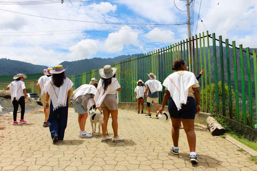 Medellín Coffee Farm Tour with Trolley and Cable Car Ride - Who should book this experience