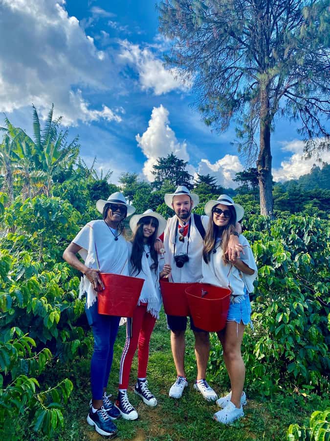 Medellín Coffee Farm Tour with Trolley and Cable Car Ride - From San Antonio to the hills of Comuna 8