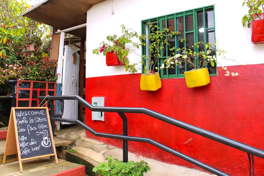 Medellín Coffee Farm Tour with Trolley and Cable Car Ride - Picking coffee berries by hand