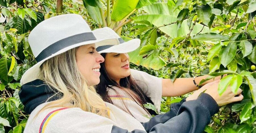 Medellín Coffee Farm Tour with Trolley and Cable Car Ride - Guides and language support
