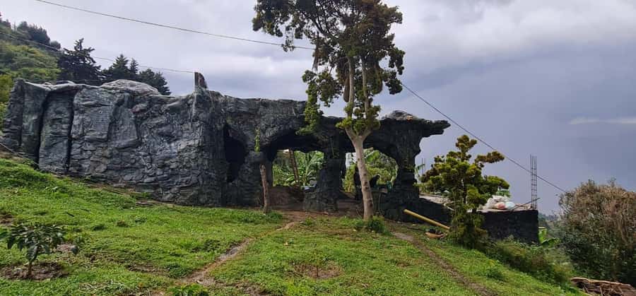 Medellin: Coffee Tour and Wellness Spa - A coffee farm with a spa twist