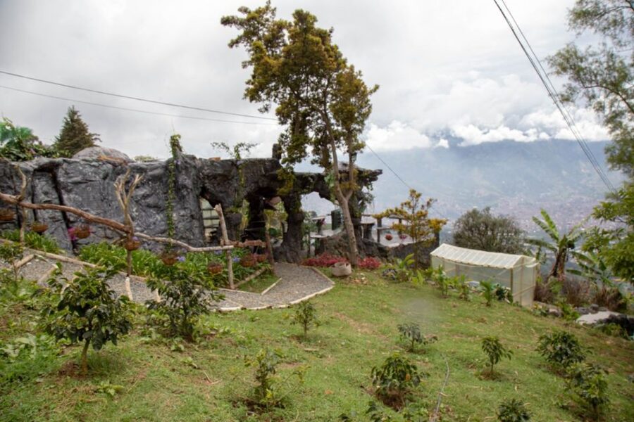 Medellin: Coffee Tour and Wellness Spa - Booking tips for a smoother day