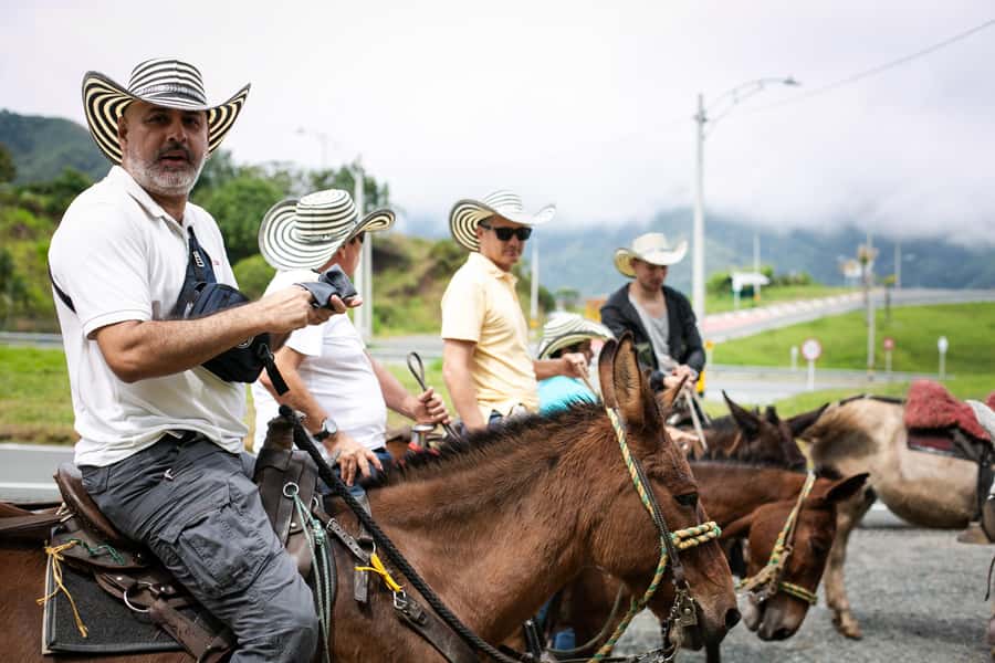 Medellin: Coffee Tour, Horseback Arrival, and Sugar Cane - From El Poblado to the hills of Western Antioquia