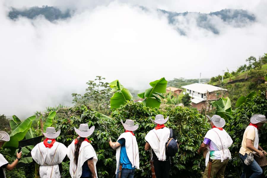 Medellin: Coffee Tour, Horseback Arrival, and Sugar Cane - Sugar cane and a shorter sweet stop