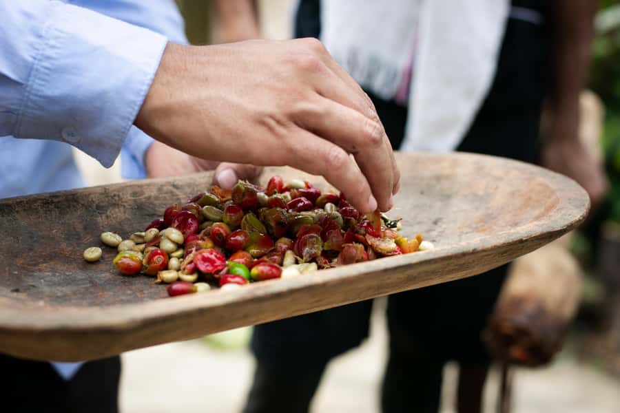 Medellin: Coffee Tour, Horseback Arrival, and Sugar Cane - What makes the guide important