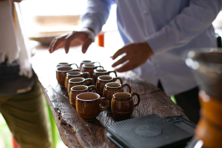 Medellin: Coffee Tour, Horseback Arrival, and Sugar Cane - Picking coffee among bananas and plantains
