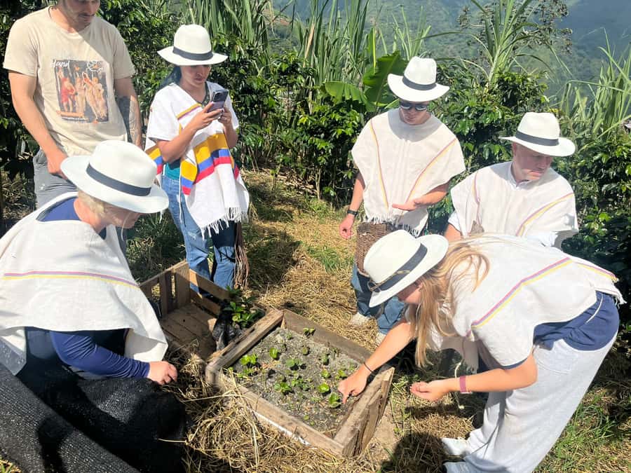Medellin: Coffee Tour with Hotel Transfers and Meals - Key points to know before booking