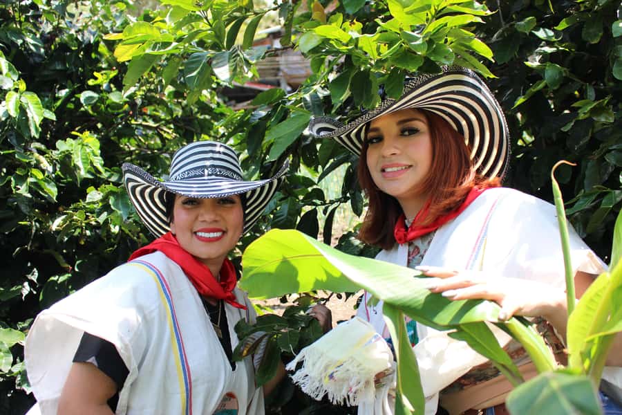 Medellin: Coffee Tour with Hotel Transfers and Meals - From Medellín into the coffee hills