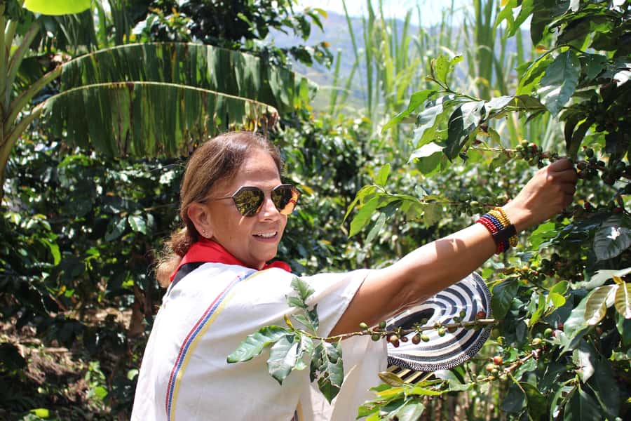 Medellin: Coffee Tour with Hotel Transfers and Meals - Picking beans and learning the hard work