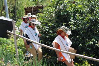 Coffee Tour with Hotel Transfers and Meals