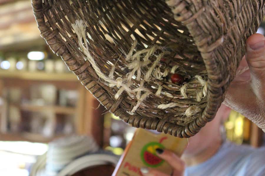 Medellin: Coffee Tour with Hotel Transfers and Meals - Tasting coffee prepared several ways