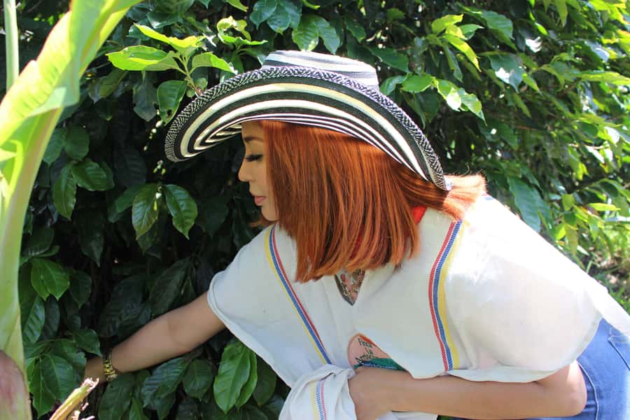 Medellin: Coffee Tour with Hotel Transfers and Meals - Lunch at the historic Casagrande house