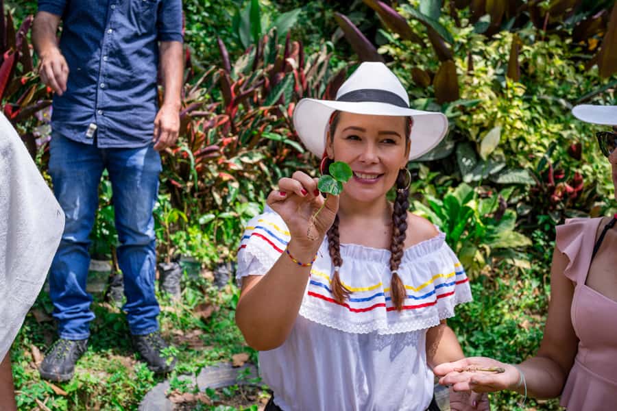 Medellin: Coffee Tour with Transport, Snacks and Tastings - Key points at a glance