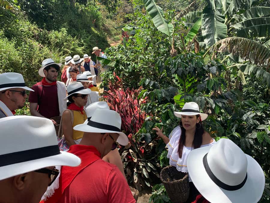 Medellin: Coffee Tour with Transport, Snacks and Tastings - Is $80 a fair price?