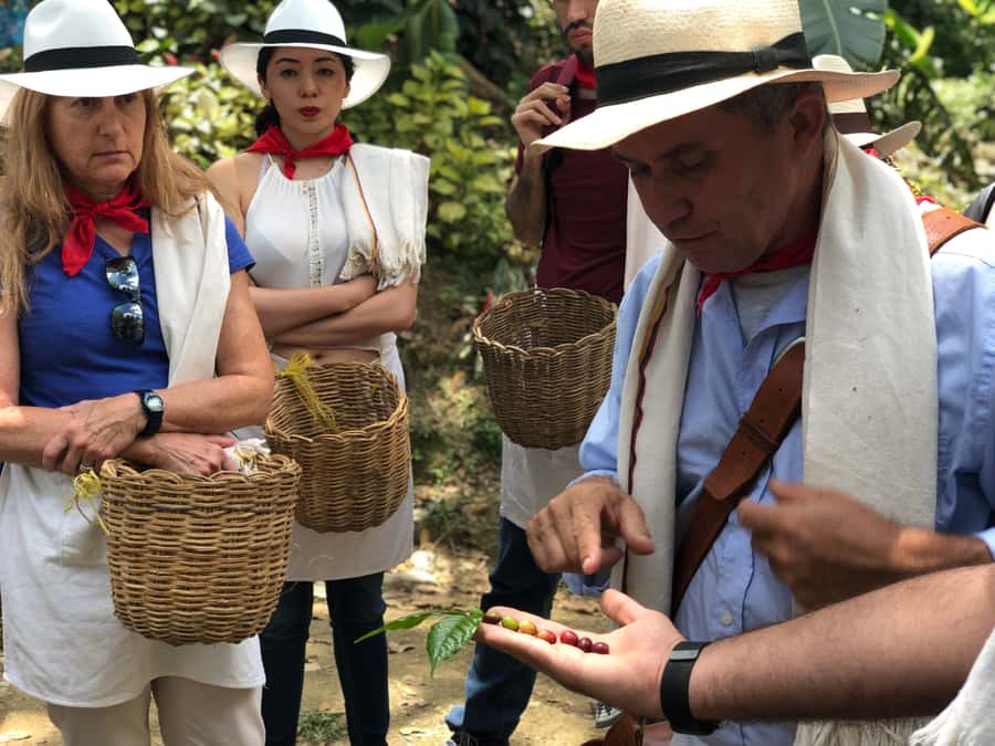 Medellin: Coffee Tour with Transport, Snacks and Tastings - Mucilage frappé, husk tea, and specialty coffee