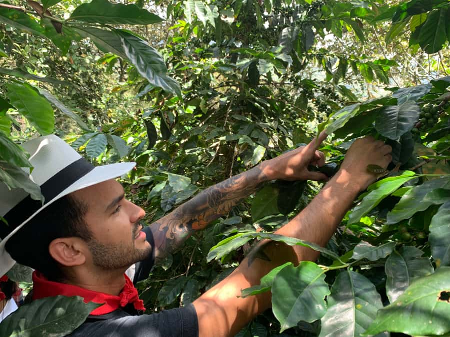 Medellin: Coffee Tour with Transport, Snacks and Tastings - The optional horseback ride through the hills