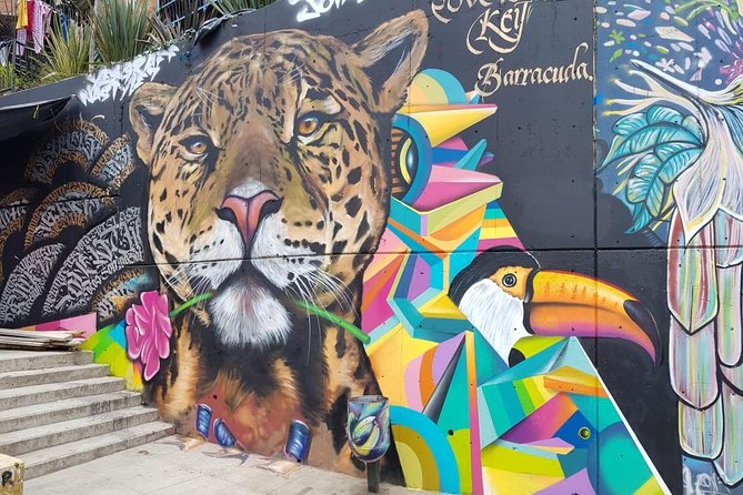 Medellín & Comuna 13 Private Tour - Key points to know before booking