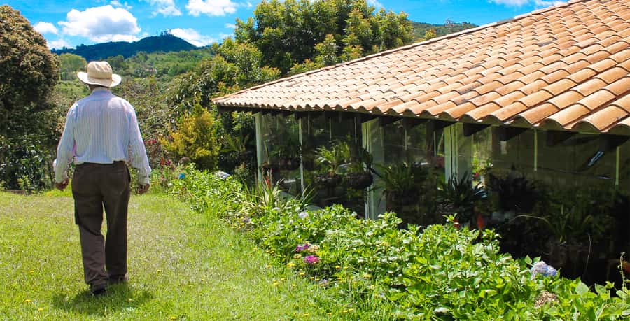Medellín: Flower Farm & Silletero History Tour - Key points to know before you book