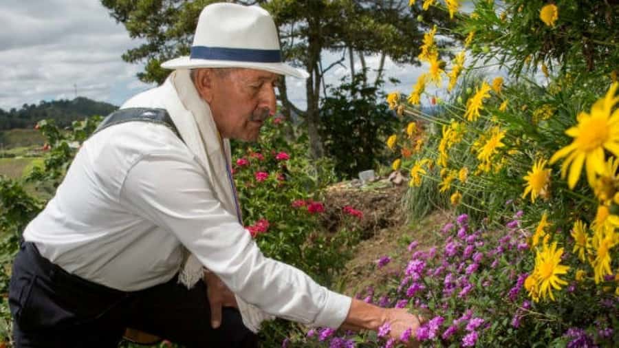 Medellín: Flower Farm & Silletero History Tour - Why the silletero tradition matters in Medellín