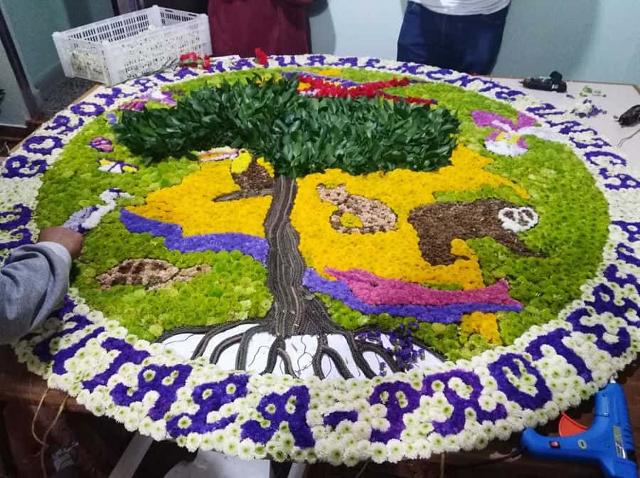 Medellín: Flower Farm & Silletero History Tour - Language, group size, and comfort