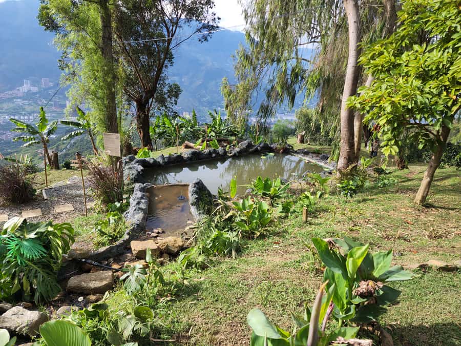 Medellin: Glamping Spa and coffee tour Experience - A coffee farm stay with an unusual overnight room