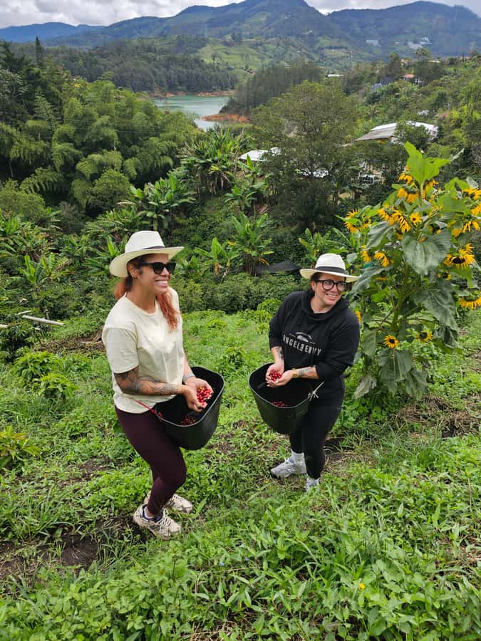 Medellin: Guatape, El Peñol Coffee Farm Private Tour & Fruit - Lunch in Guatapé, with the bill paid separately