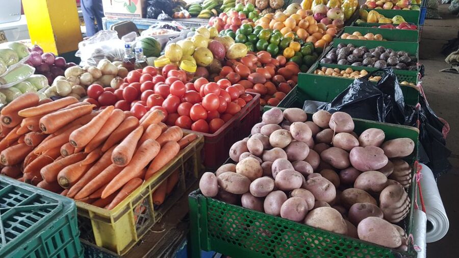 Medellin: Guatape, El Peñol Coffee Farm Private Tour & Fruit - How the eight-hour schedule feels